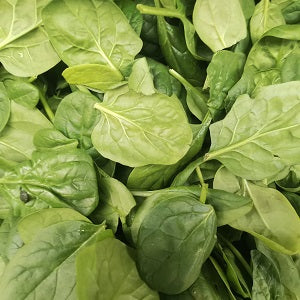 FRESH BABY SPINACH/ KG  菠菜叶/公斤