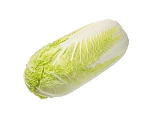 CHINESE CABBAGE 1.5KG/EA  大白菜1.5公斤/个