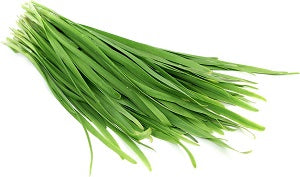 CHINESE CHIVE 400G/BUNCH  韭菜400斤/扎
